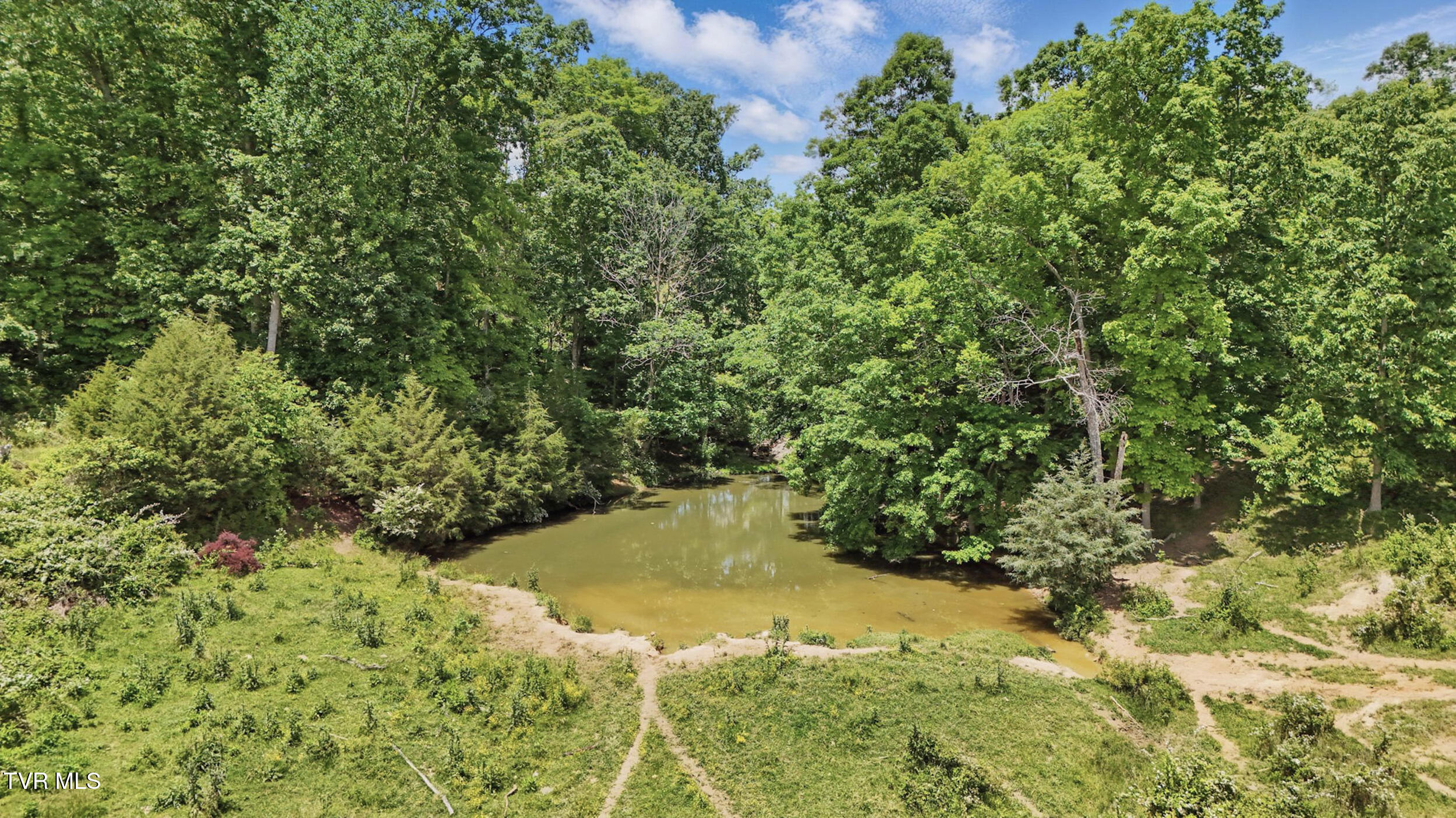 Tbd Old Baxter Road, Fall Branch, Tennessee image 7