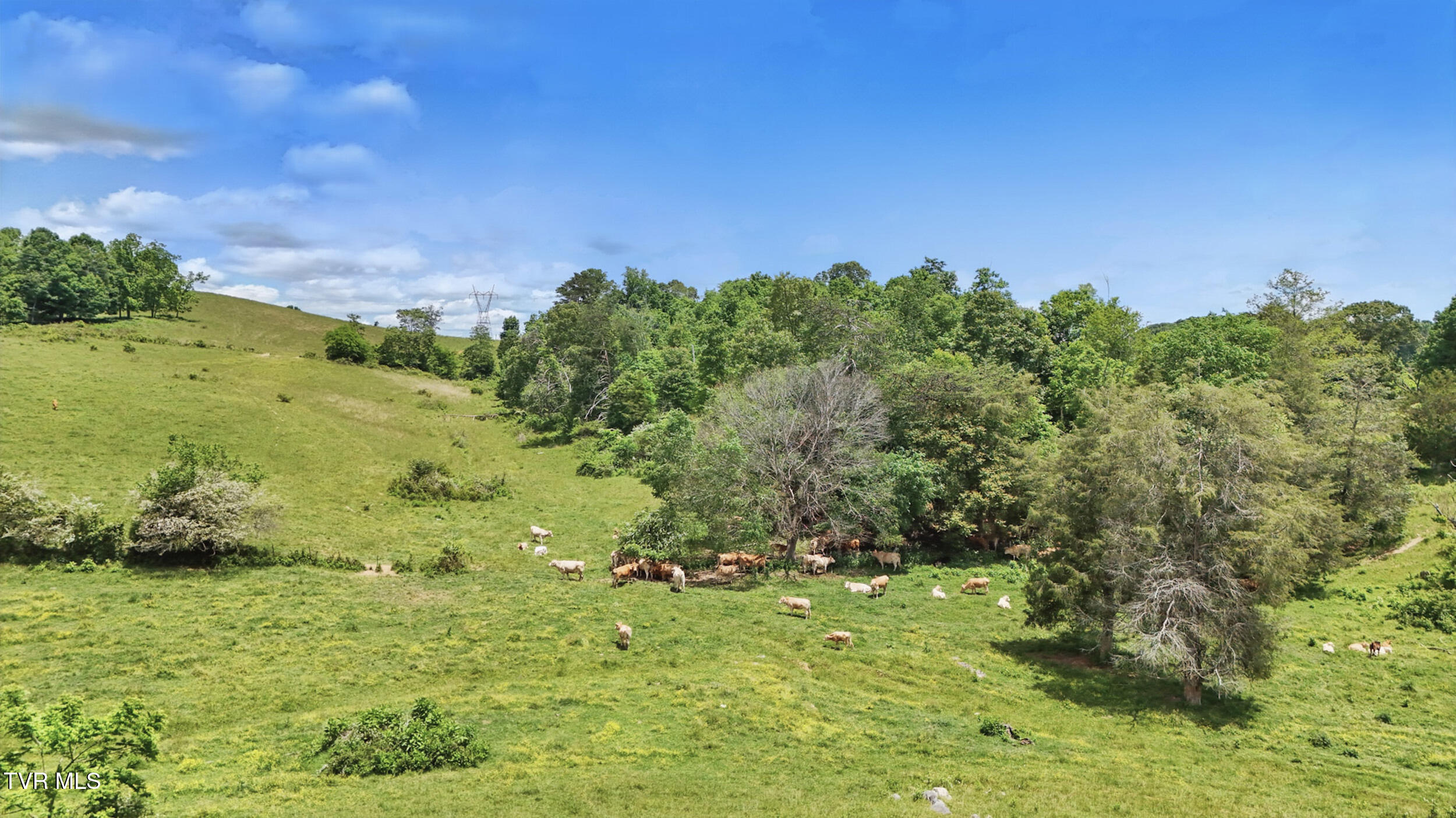 Tbd Old Baxter Road, Fall Branch, Tennessee image 9