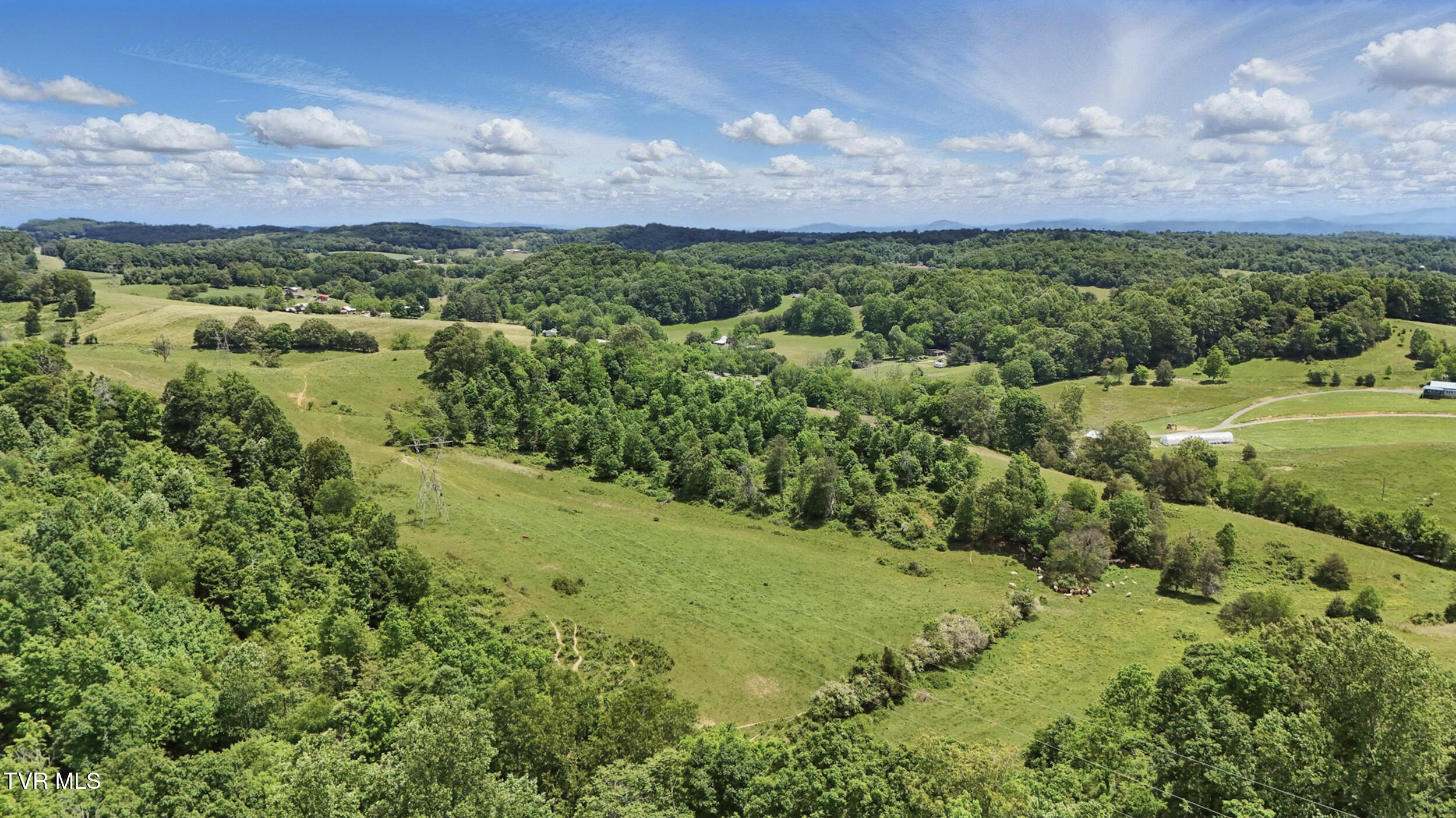 Tbd Old Baxter Road, Fall Branch, Tennessee image 8