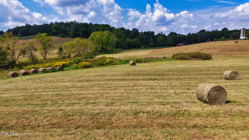 Photo of 4 Mitchell Ridge Road, Jonesborough, TN 37659 (MLS # 10001841)
