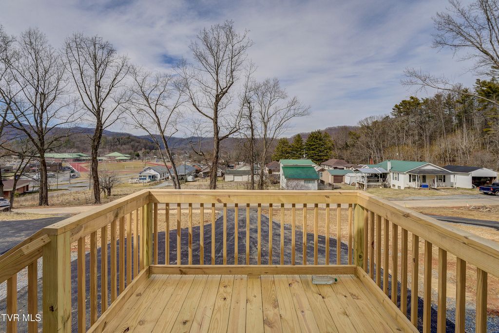 Photo of 202 Florida Avenue, Erwin, TN 37650 (MLS # 9991158)