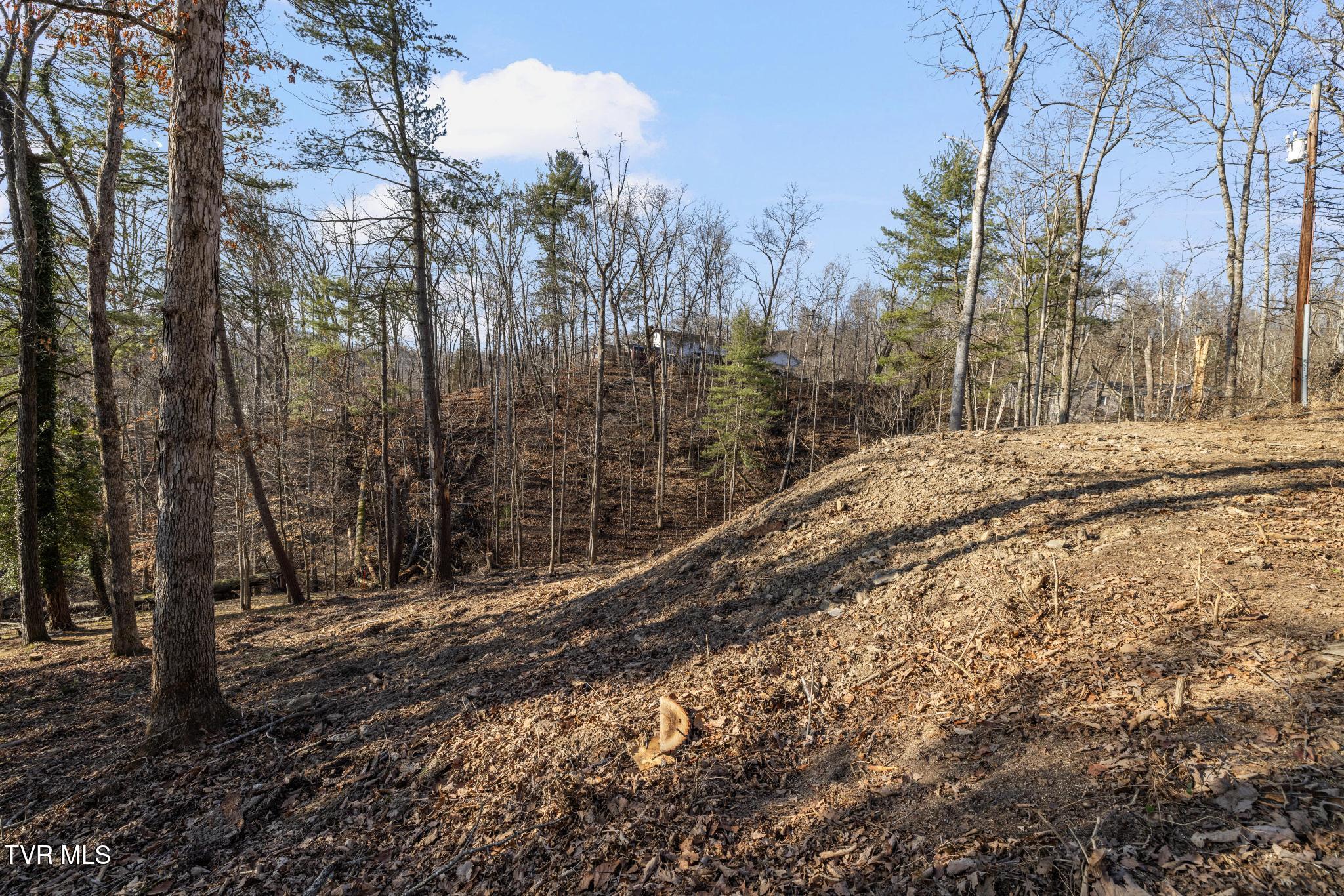146 Cloudland Drive, Bristol, Tennessee image 4