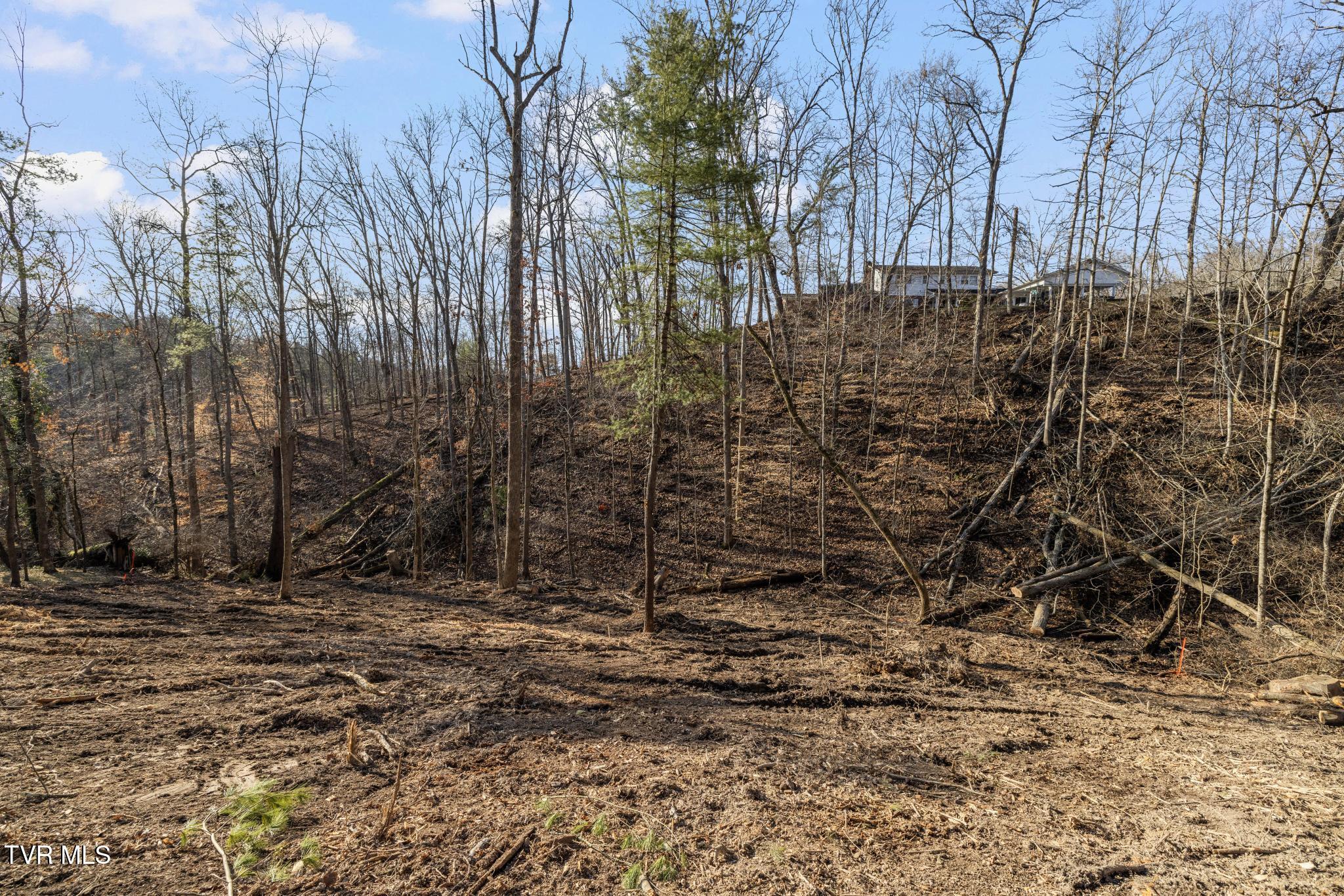 146 Cloudland Drive, Bristol, Tennessee image 11