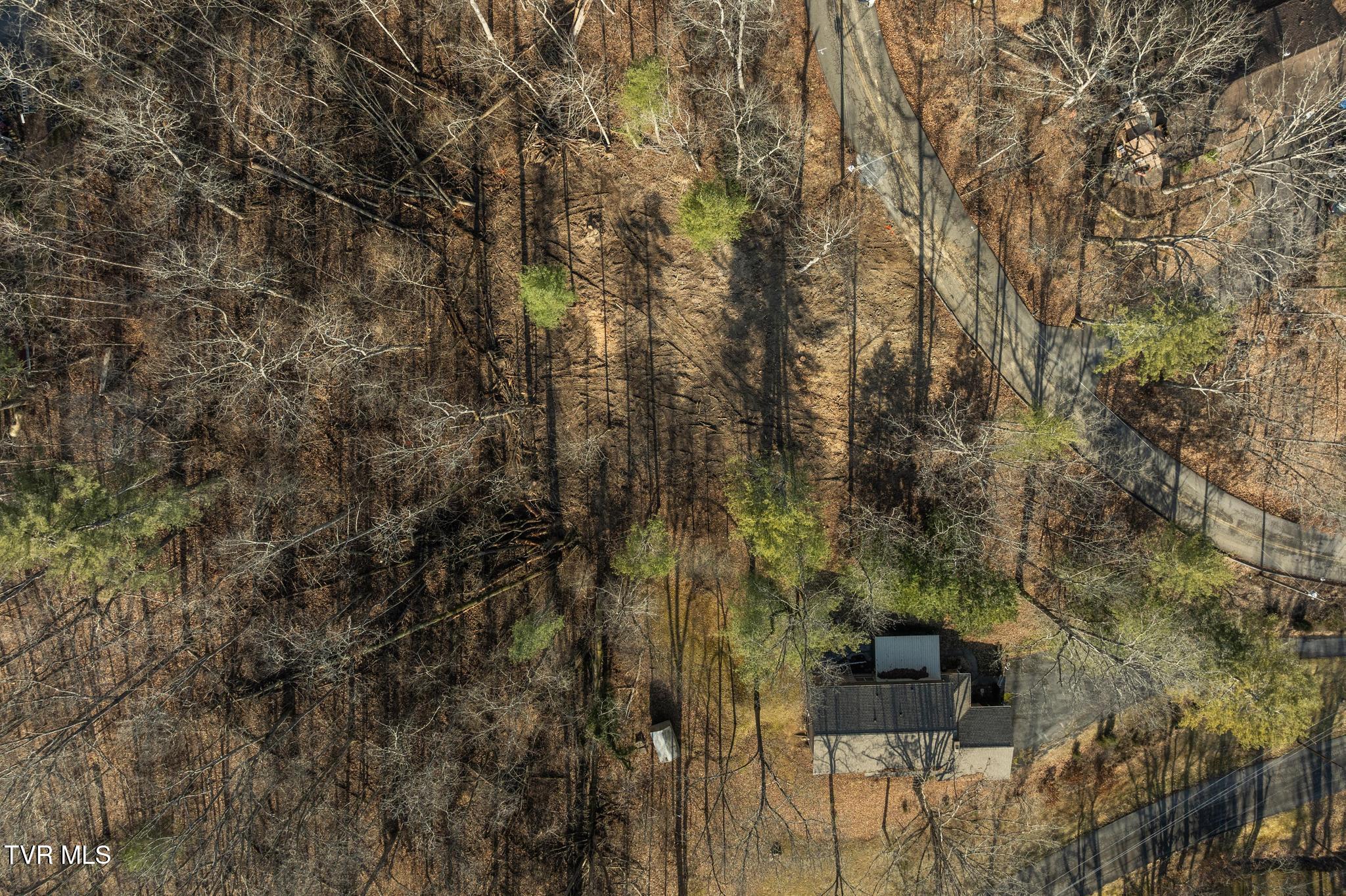 146 Cloudland Drive, Bristol, Tennessee image 15
