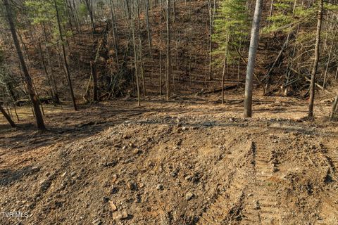 Vacant Land For Sale - 146 Cloudland Drive<br/> Bristol, TN 37620