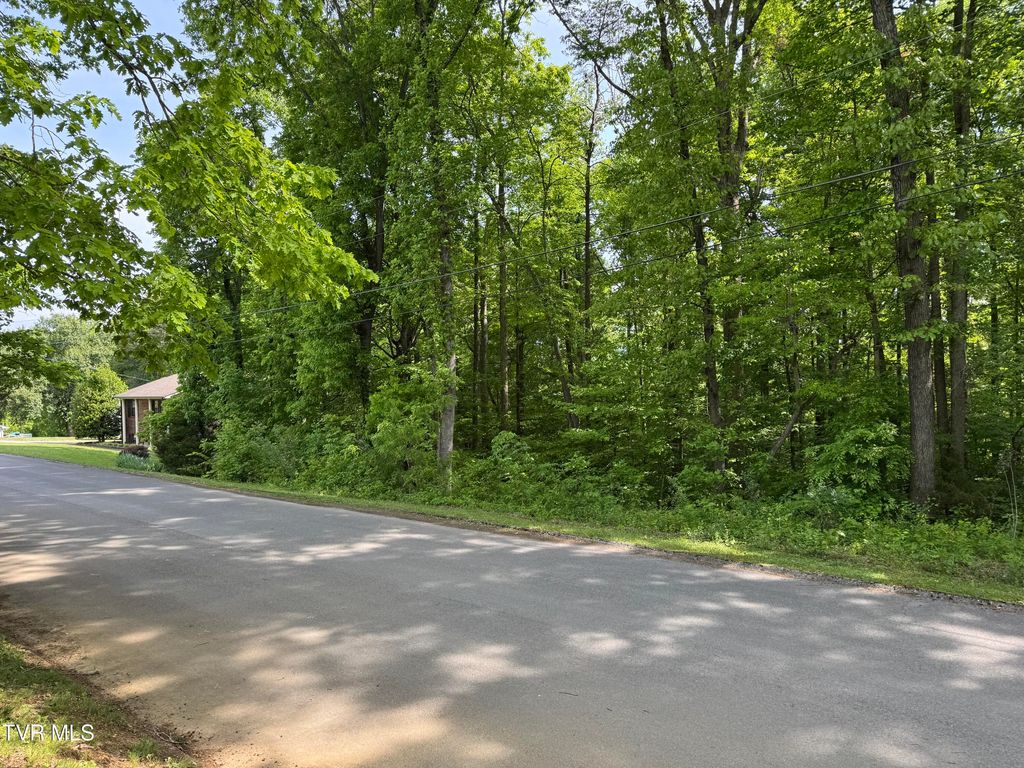 Photo of 6 Parrish Drive, Greeneville, TN 37743 (MLS # 9996202)