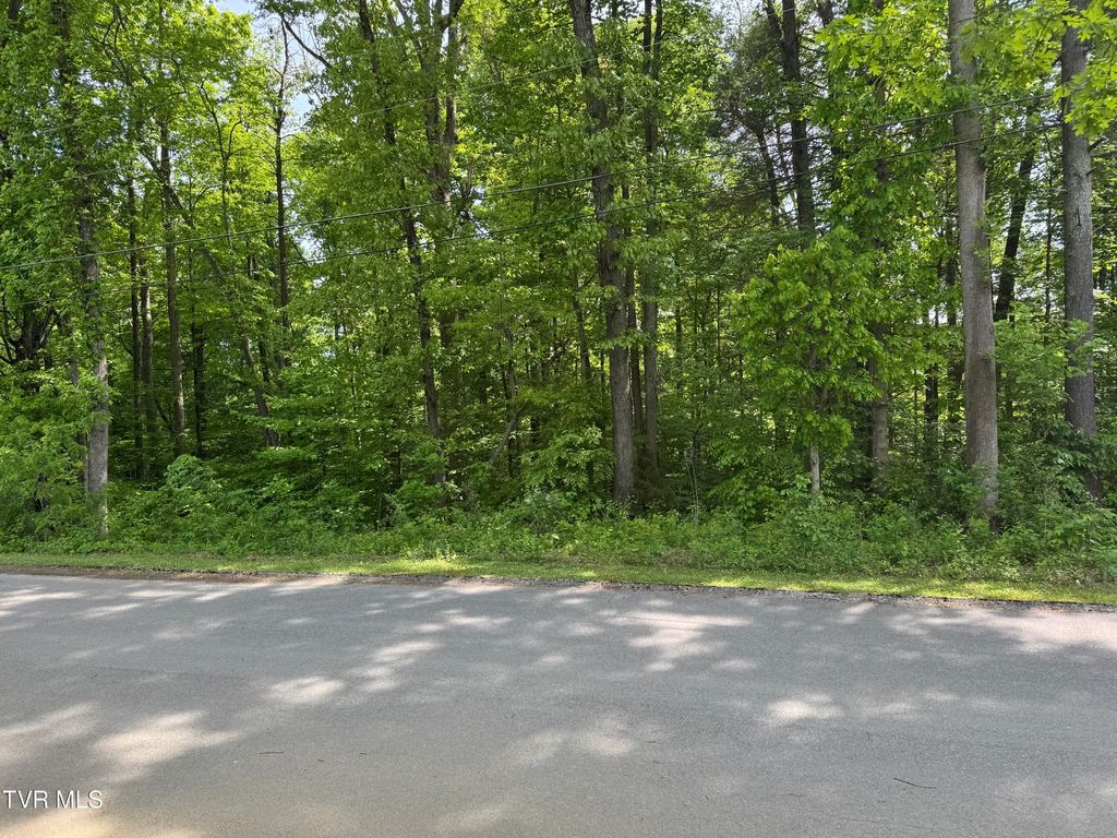 Photo of 6 Parrish Drive, Greeneville, TN 37743 (MLS # 9996202)