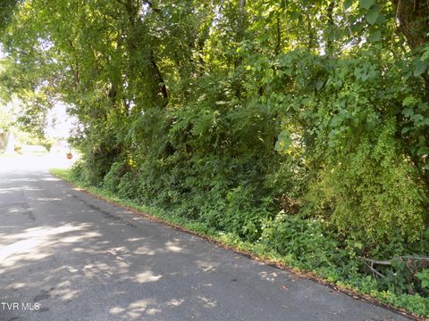 Vacant Land For Sale - TBD Lakeshore Circle<br/> Rogersville, TN 37857