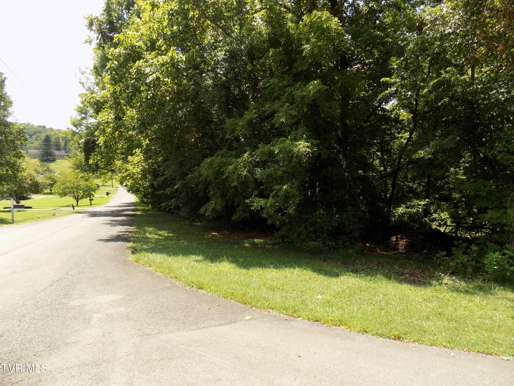 Photo of Tbd Lakeshore Circle, Rogersville, TN 37857 (MLS # 9988874)