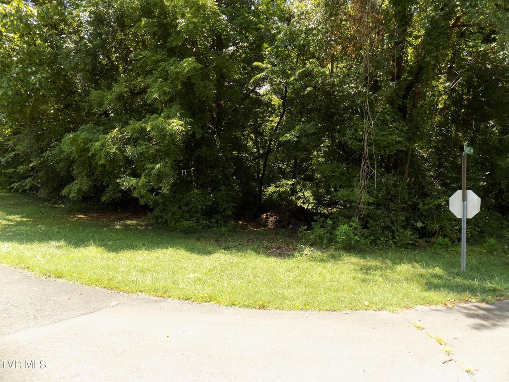 Photo of Tbd Lakeshore Circle, Rogersville, TN 37857 (MLS # 9988874)