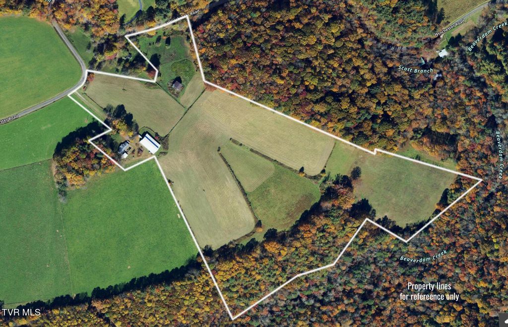 Photo of 1602 Winchester Road, Shady Valley, TN 37688 (MLS # 9996240)