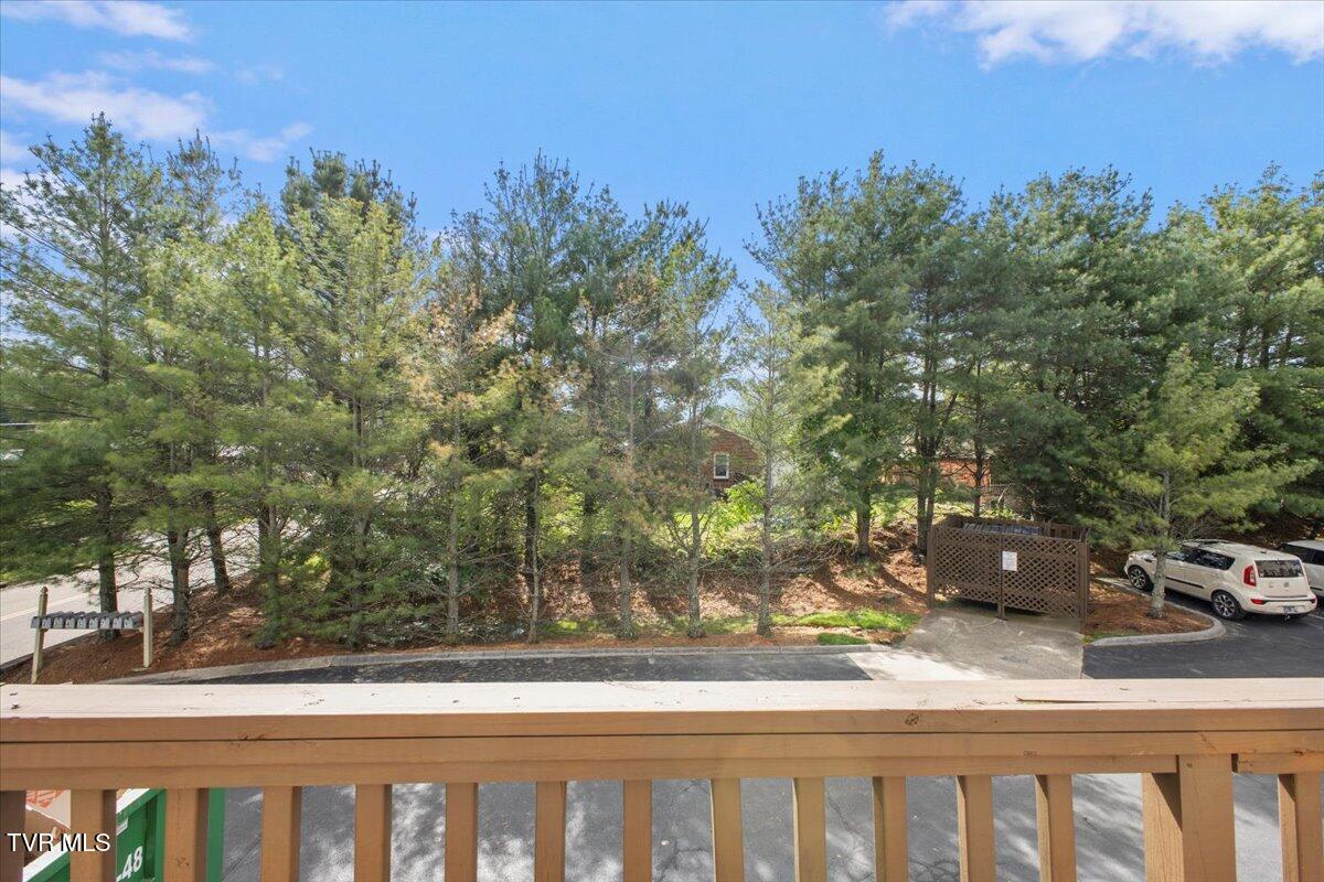 820 Liberty Bell Boulevard #2, Johnson City, Tennessee image 21