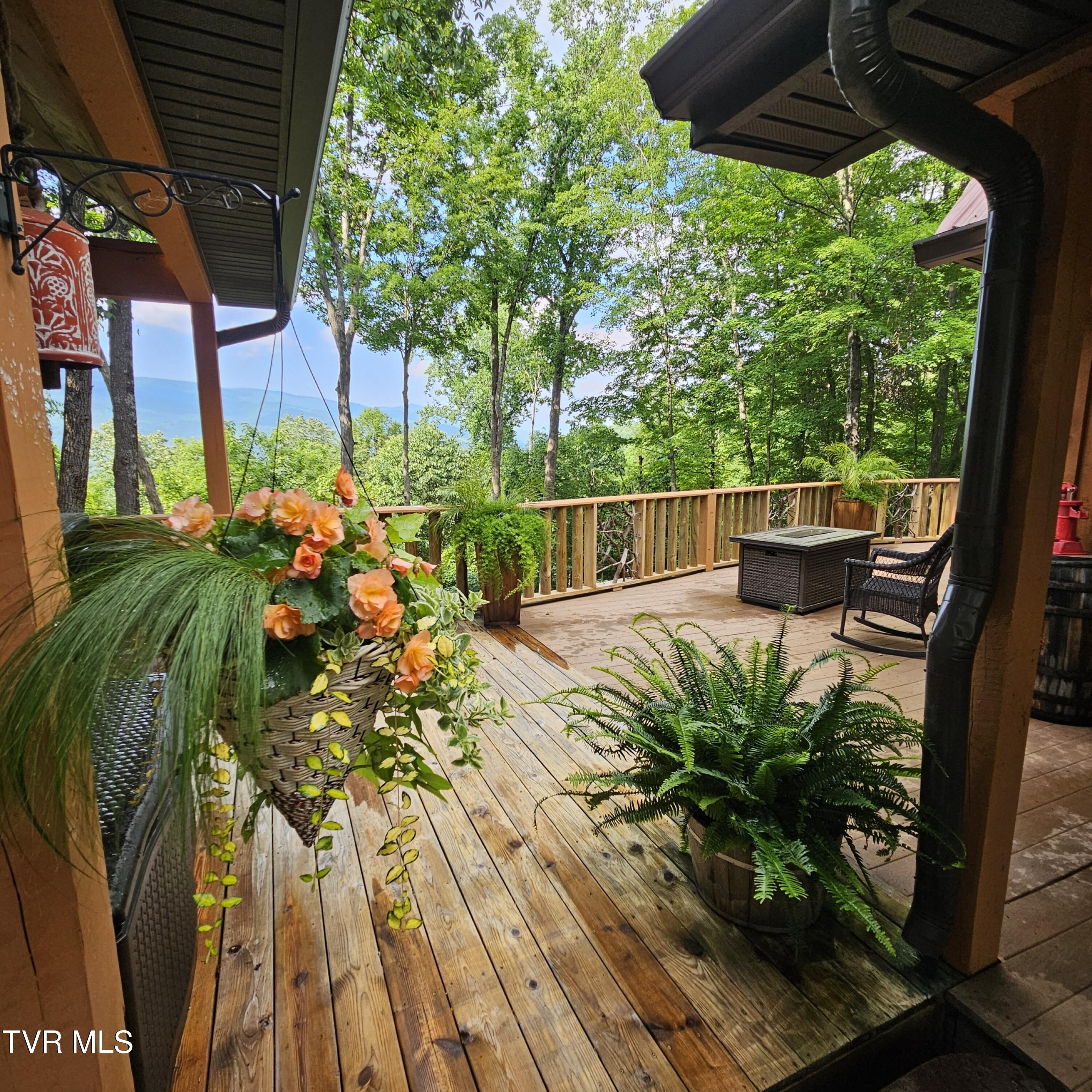 438 Willow Springs Road, Elizabethton, Tennessee image 5