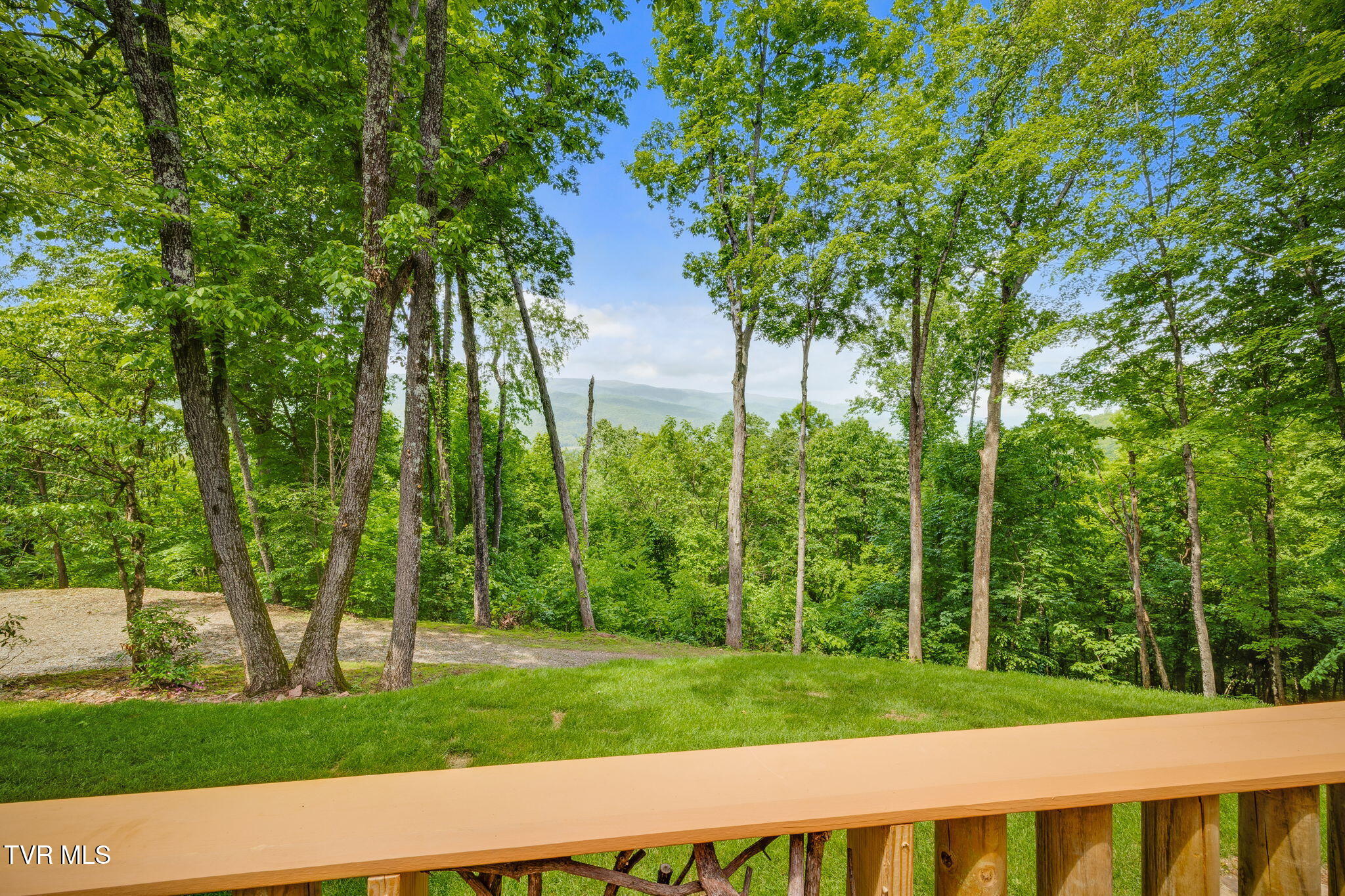 438 Willow Springs Road, Elizabethton, Tennessee image 18