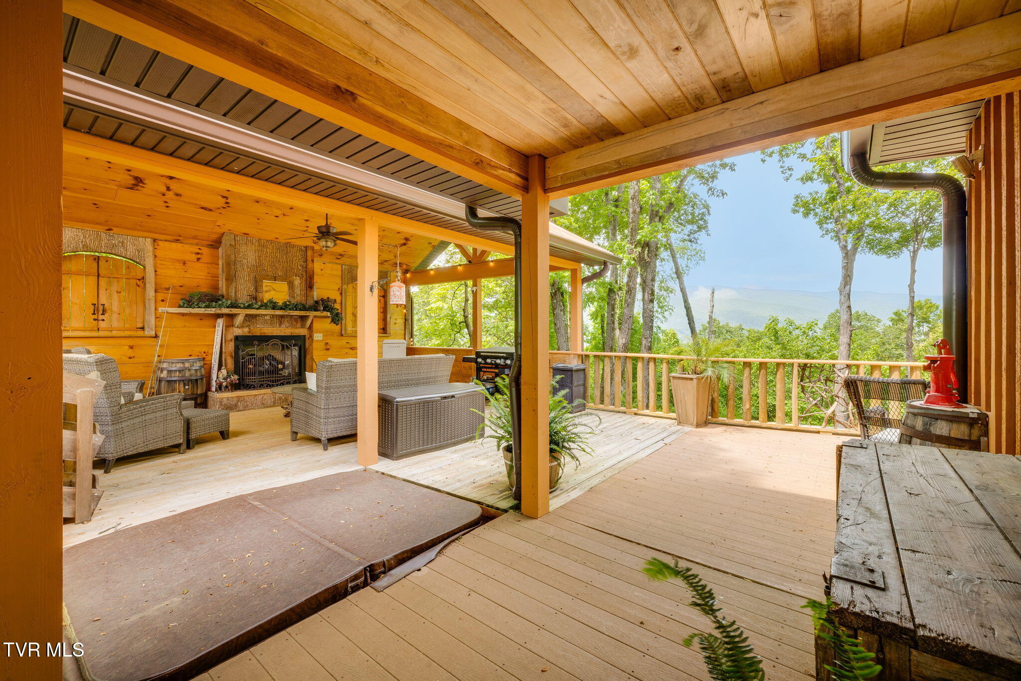 438 Willow Springs Road, Elizabethton, Tennessee image 22