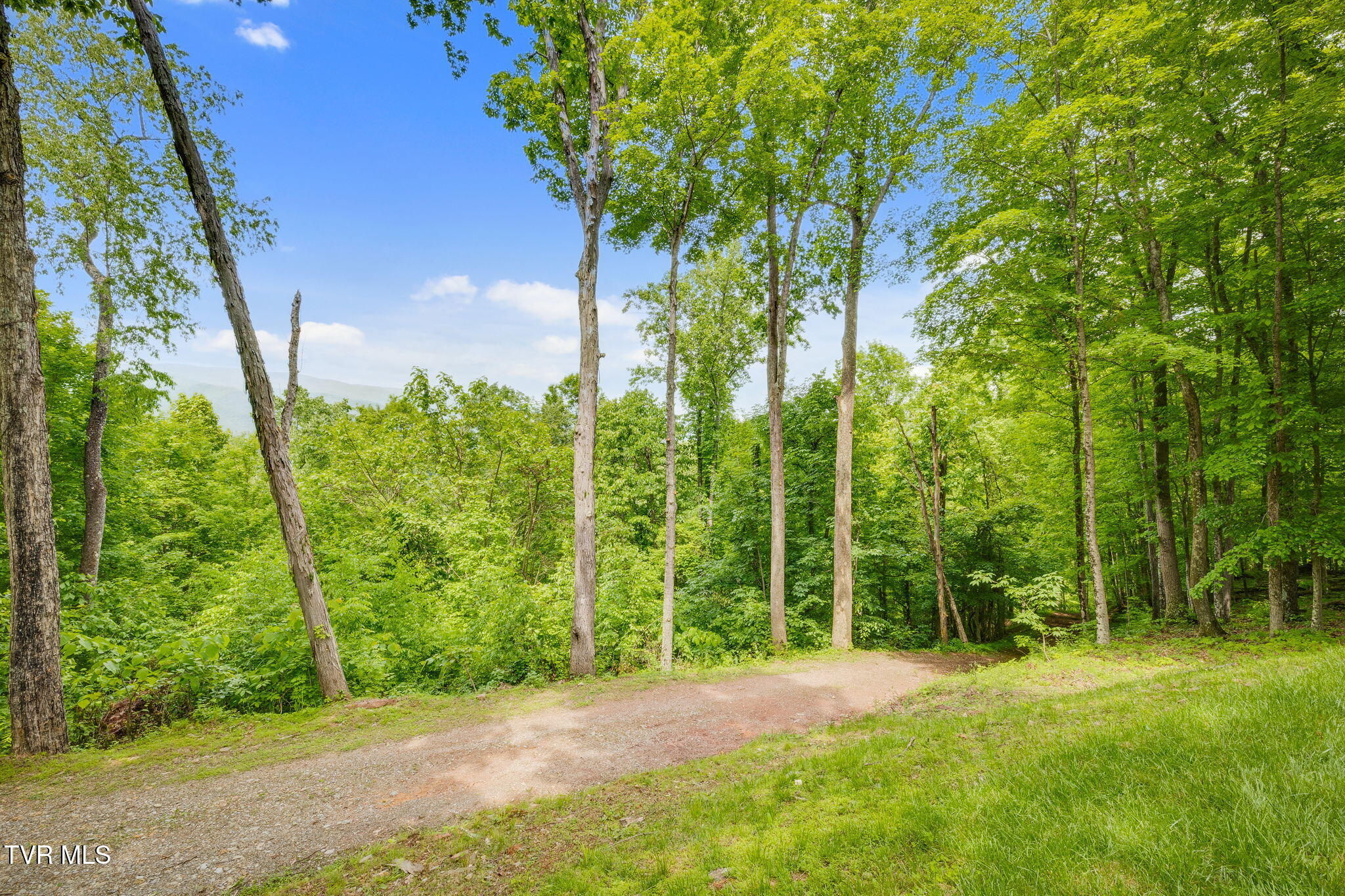 438 Willow Springs Road, Elizabethton, Tennessee image 33
