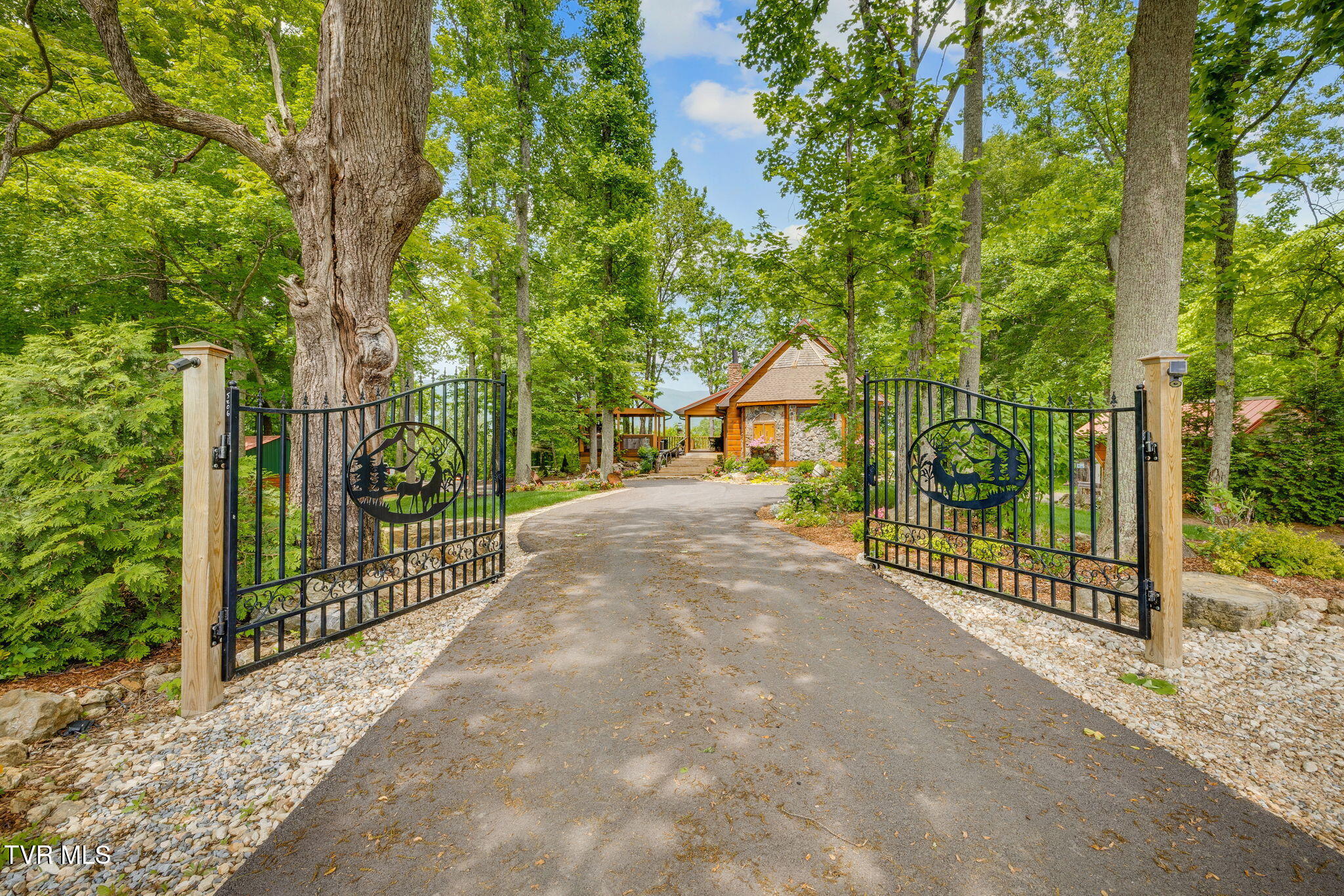 438 Willow Springs Road, Elizabethton, Tennessee image 9