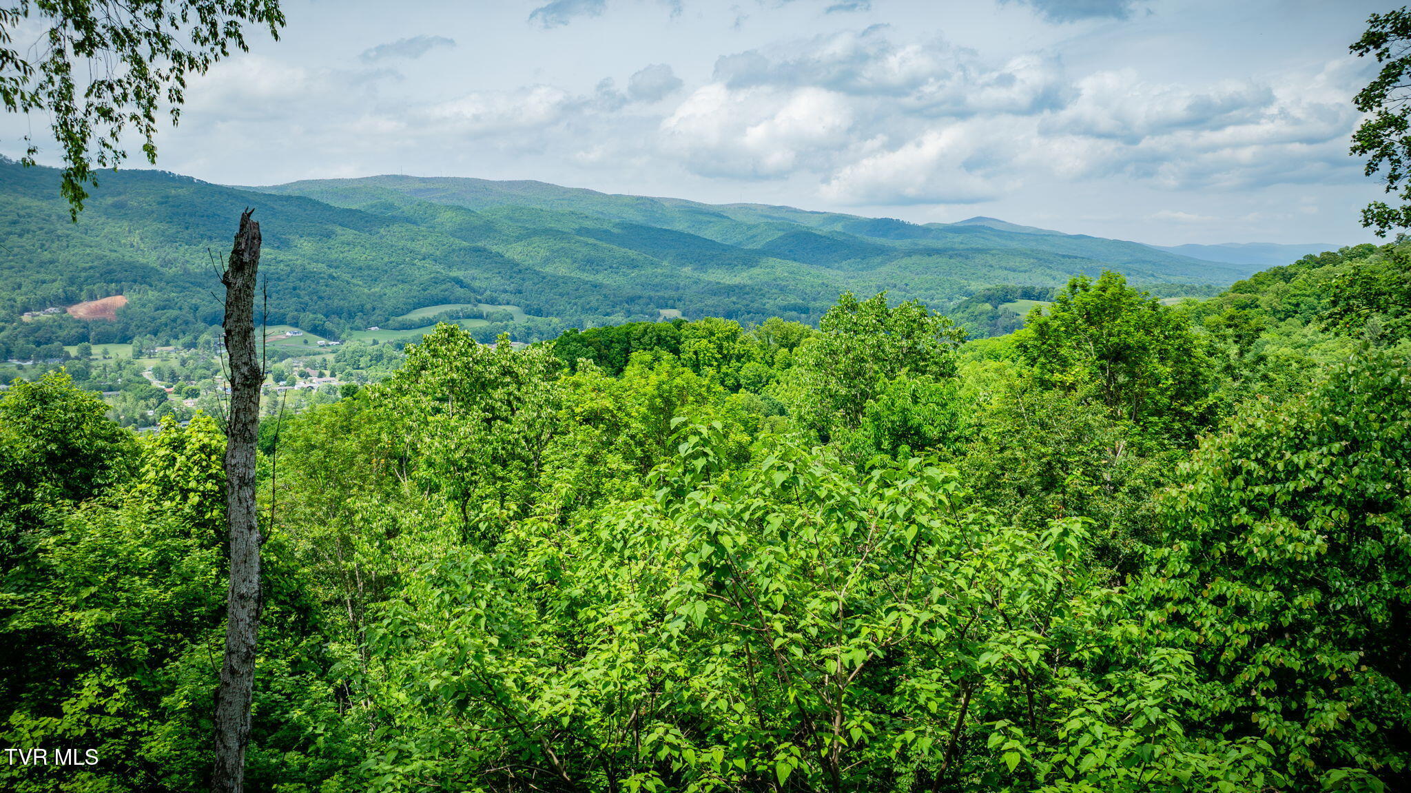 438 Willow Springs Road, Elizabethton, Tennessee image 46