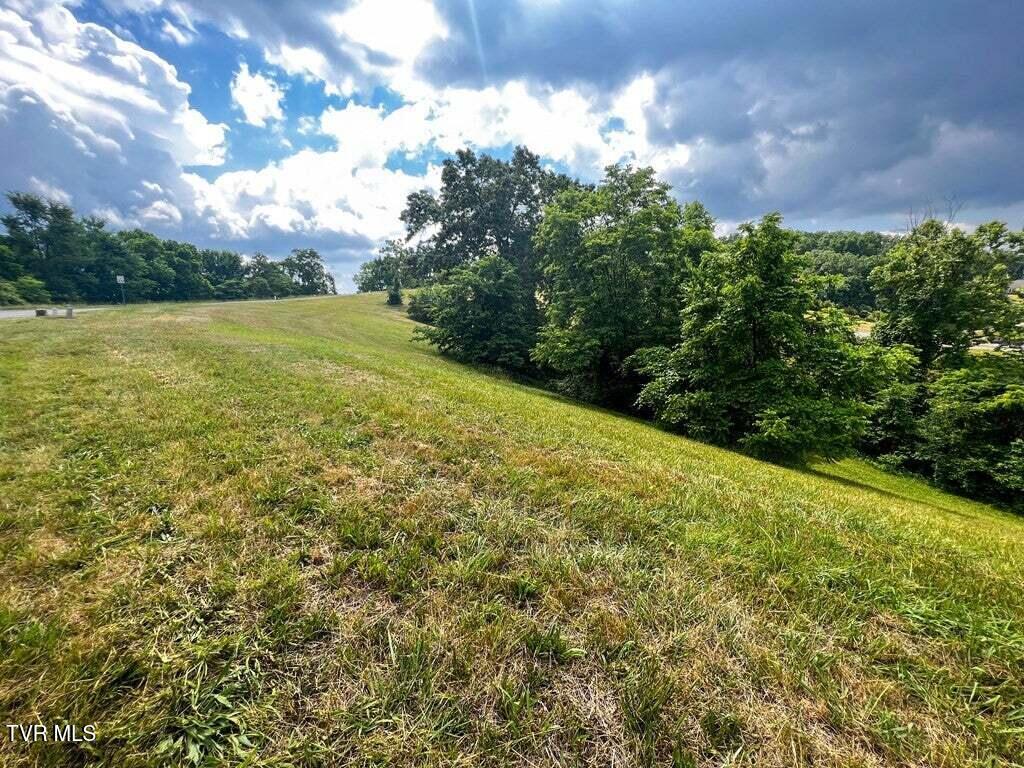 Photo of 2063 Turners Landing Road, Russellville, TN 37860 (MLS # 9998590)