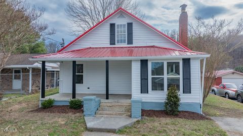Photo of 1310 Saint Louis St Street, Johnson City, TN 37601 (MLS # 9989960)