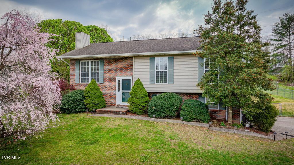 Photo of 216 Lindas Way, Bristol, TN 37620 (MLS # 9993305)