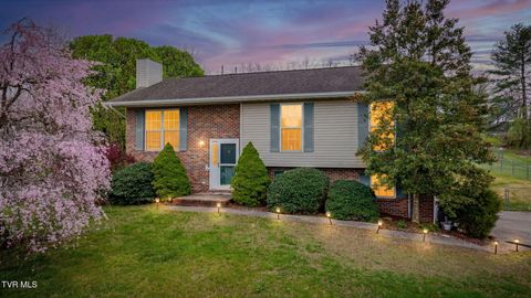Photo of 216 Lindas Way, Bristol, TN 37620 (MLS # 9993305)