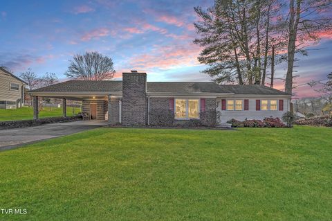 Photo of 104 Houston Street, Bristol, TN 37620 (MLS # 9990635)