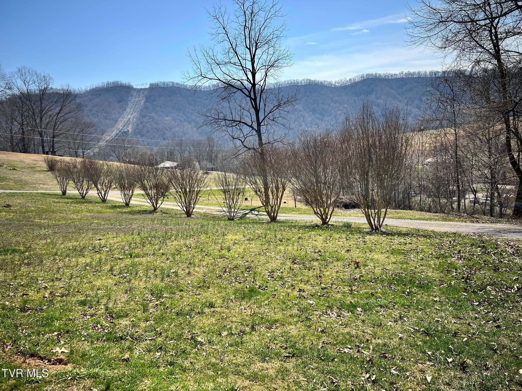 223 Destiny Blake Drive, Jonesville, Virginia image 3