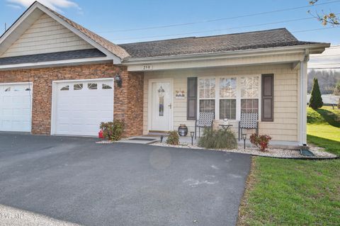 Photo of 259 Sapling Grove Court, Bristol, VA 24201 (MLS # 9992750)