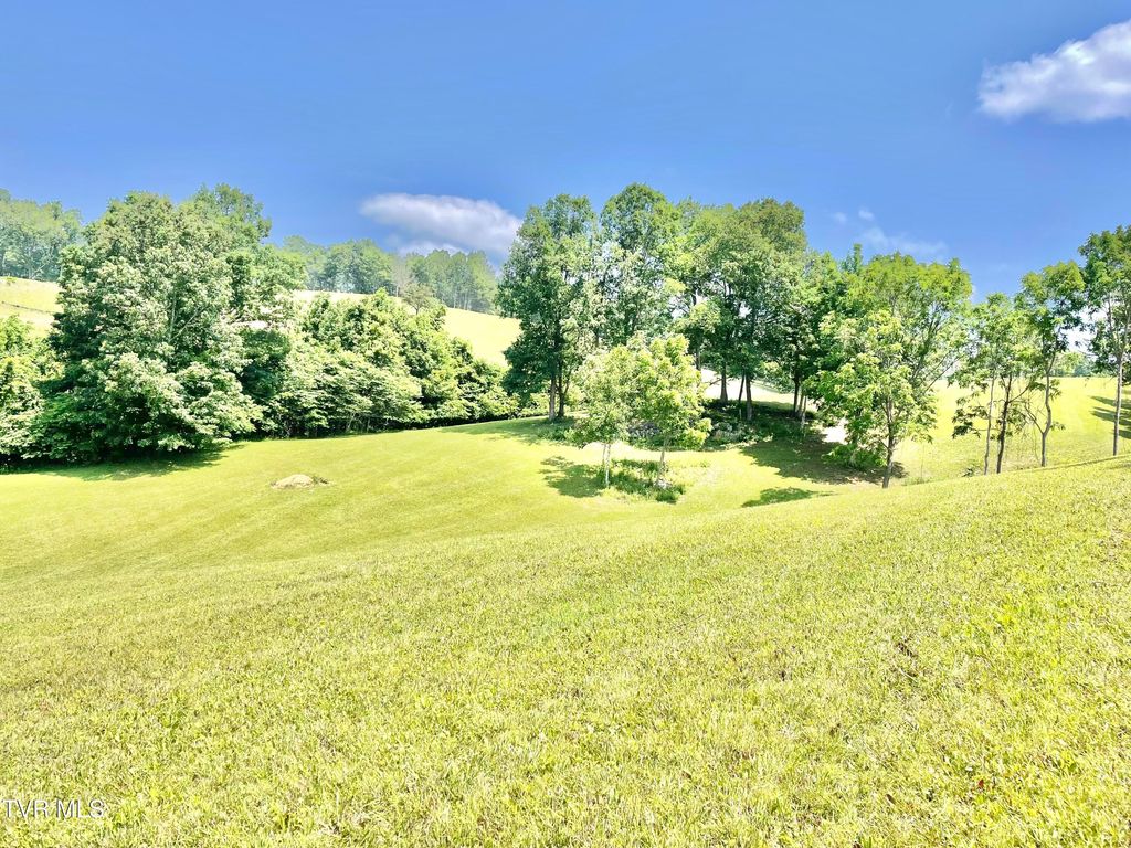 Photo of 21 Lake Mist Trail, Butler, TN 37640 (MLS # 9993303)
