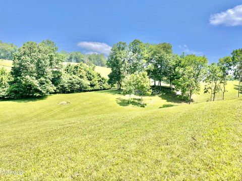 Vacant Land For Sale - LOT 21 Lake Mist Trail<br/> Johnson County, Butler, TN 37640