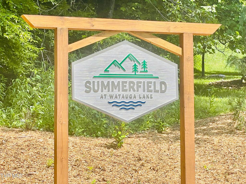 Photo of 21 Lake Mist Trail, Butler, TN 37640 (MLS # 9993303)