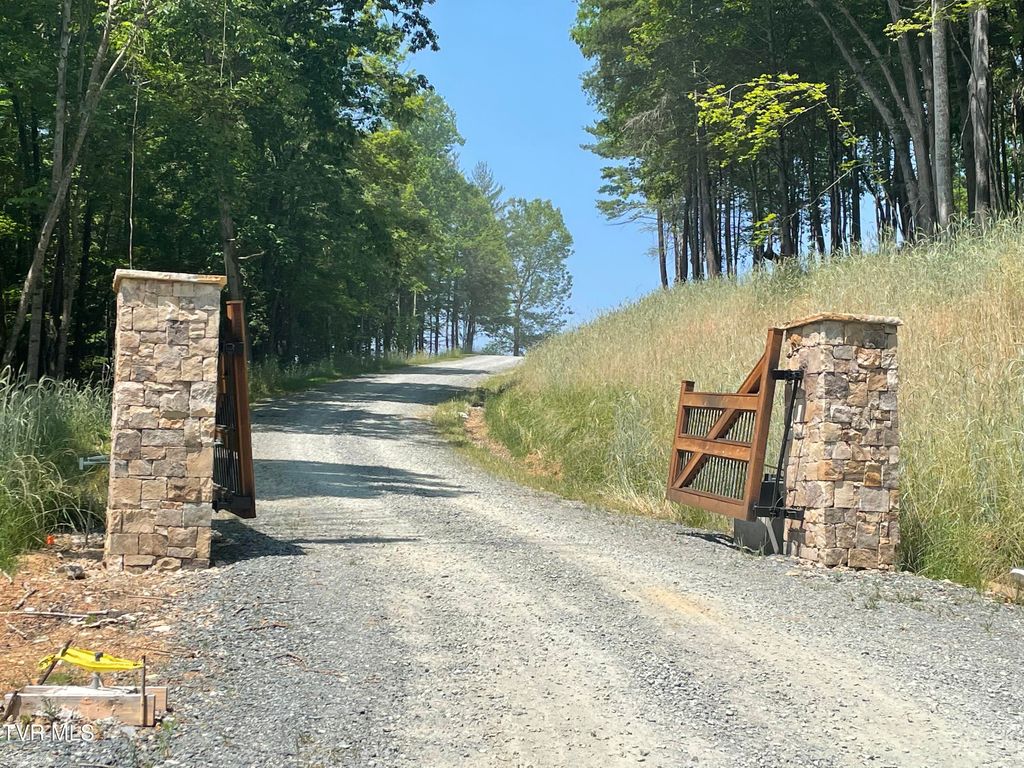 Photo of 21 Lake Mist Trail, Butler, TN 37640 (MLS # 9993303)