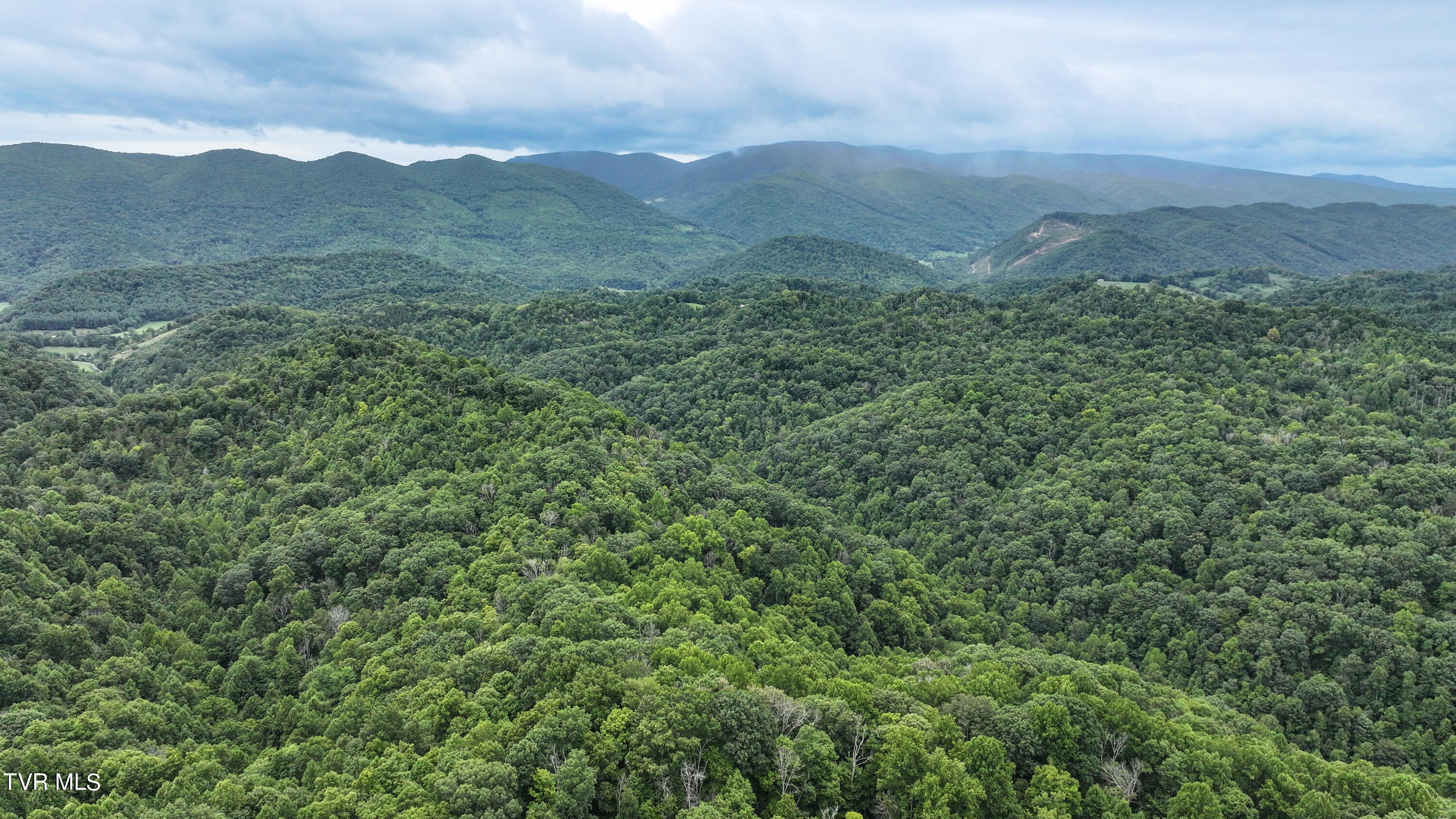 Tbd Large Hollow Road, Abingdon, Virginia image 24