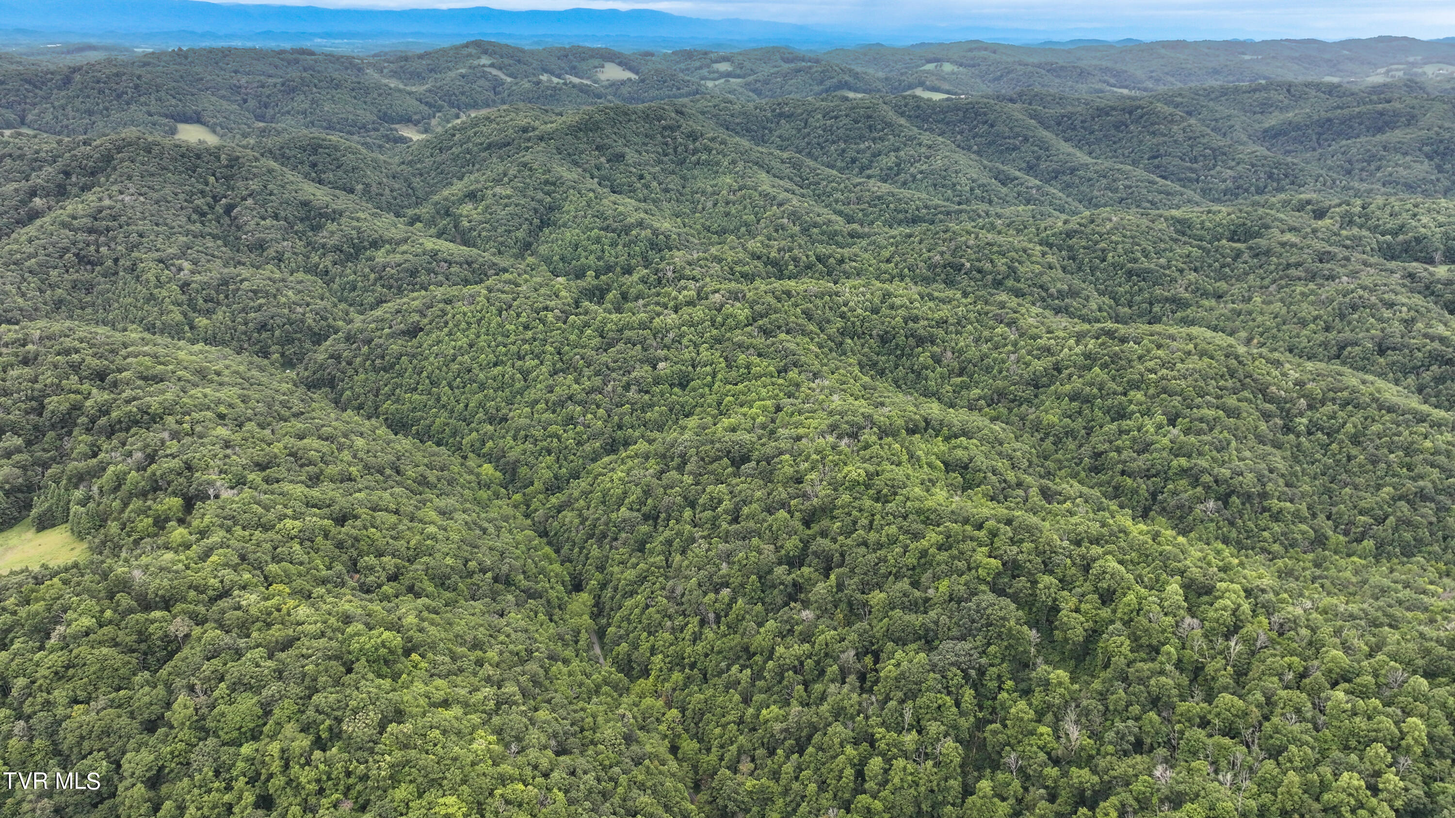 Tbd Large Hollow Road, Abingdon, Virginia image 15