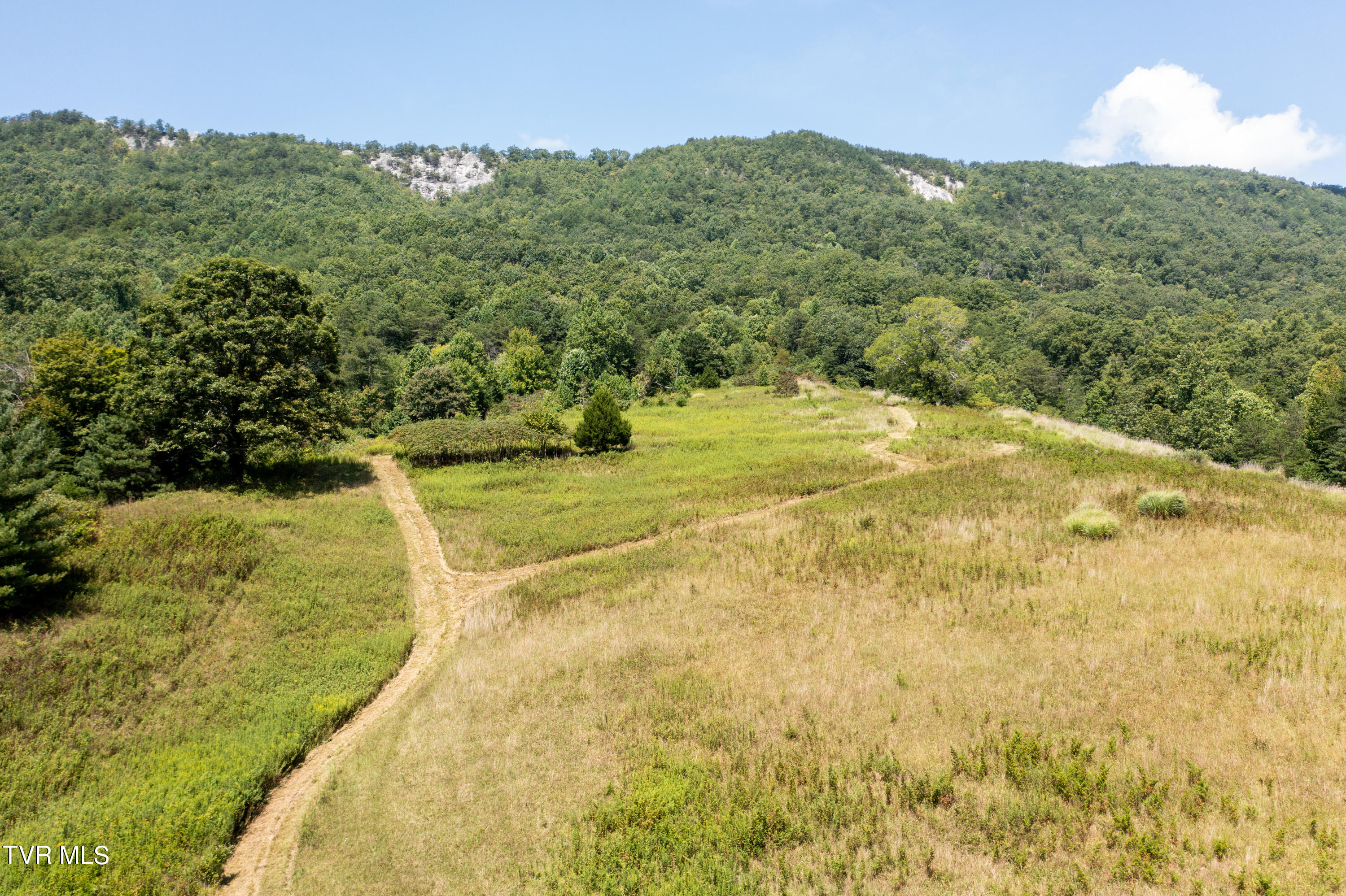Tbd Frosts Road, Surgoinsville, Tennessee image 18