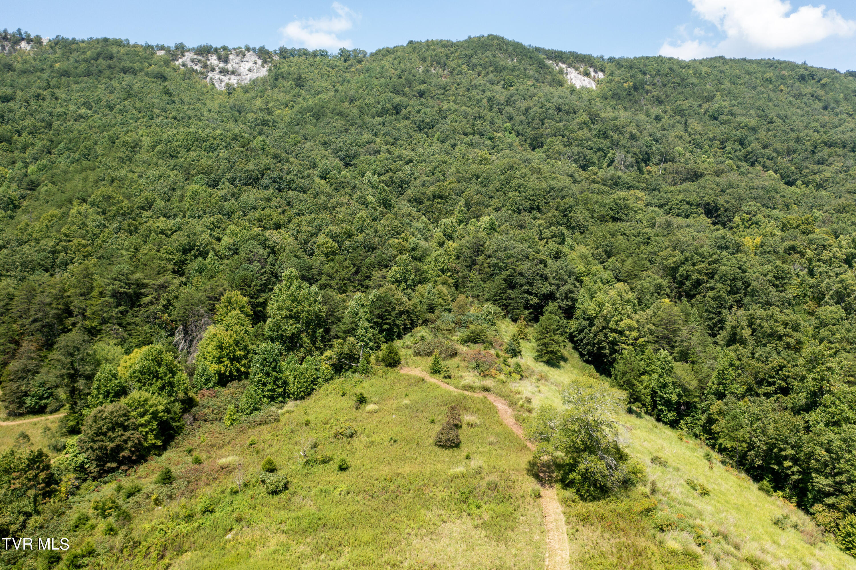 Tbd Frosts Road, Surgoinsville, Tennessee image 15