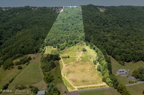 Vacant Land For Sale - TBD Frosts Road<br/> Surgoinsville, TN 37873