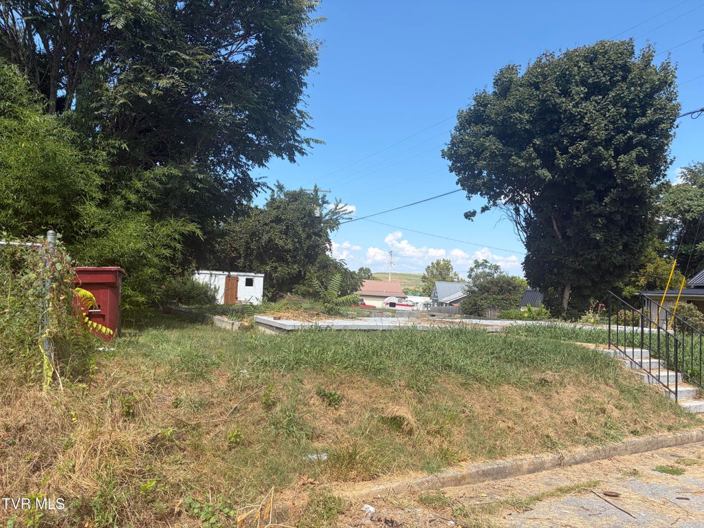 Photo of 605 Pine Street, Johnson City, TN 37601 (MLS # 10000427)