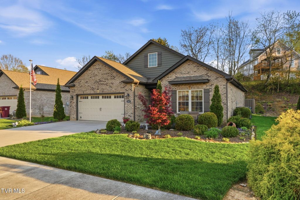 Photo of 585 Nettle Tree Court, Johnson City, TN 37604 (MLS # 9993709)