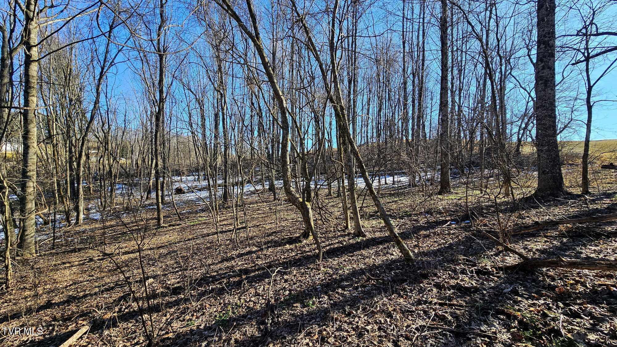 1085 Bethel Road, Nickelsville, Virginia image 10