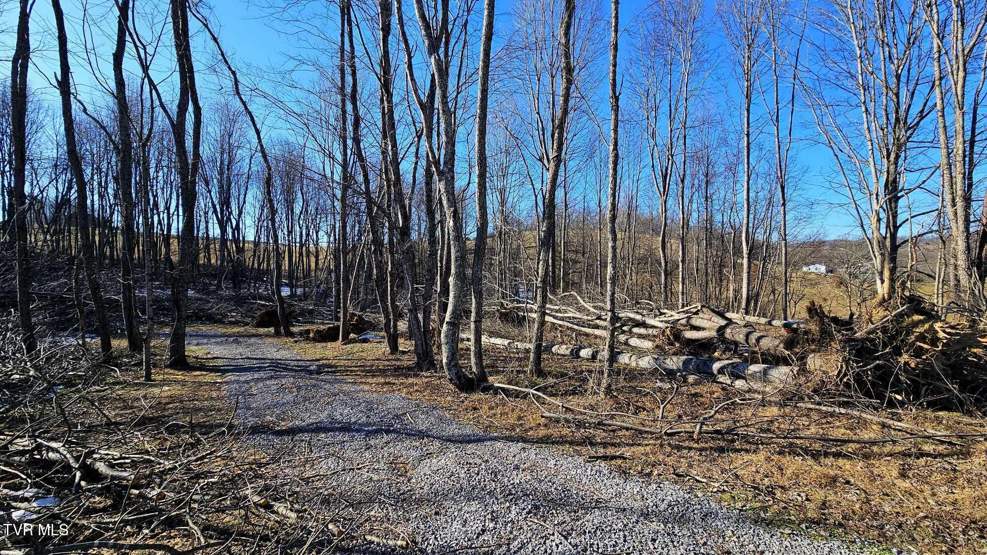 1085 Bethel Road, Nickelsville, Virginia image 1