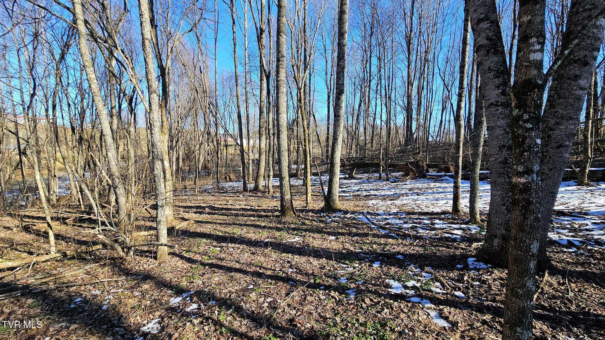 1085 Bethel Road, Nickelsville, Virginia image 13