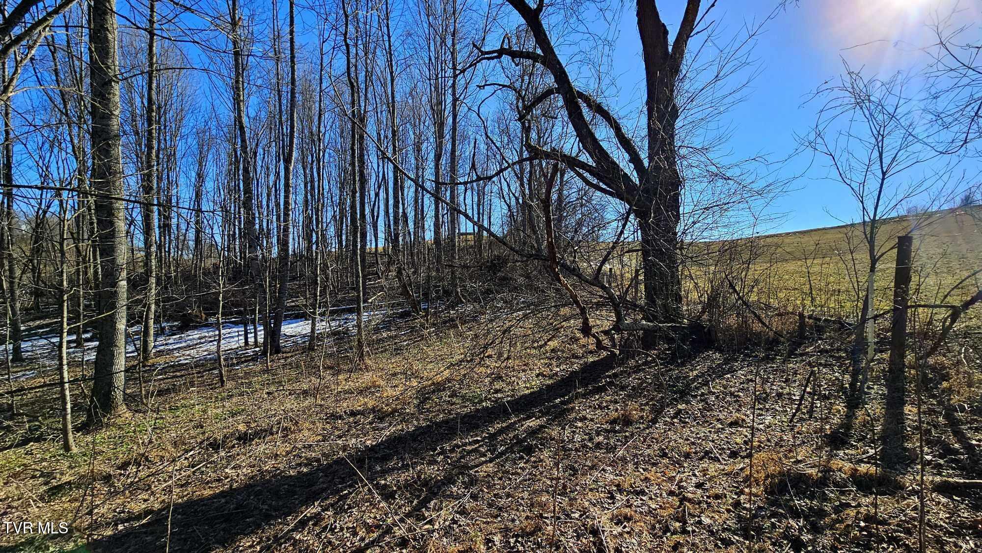1085 Bethel Road, Nickelsville, Virginia image 12