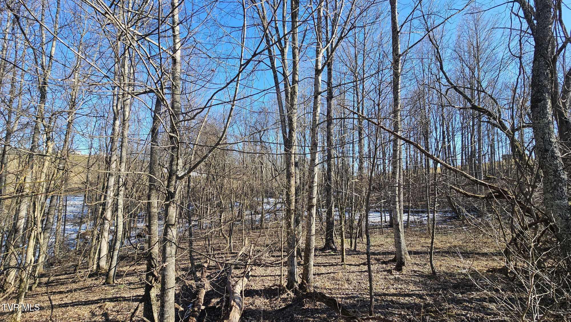 1085 Bethel Road, Nickelsville, Virginia image 11
