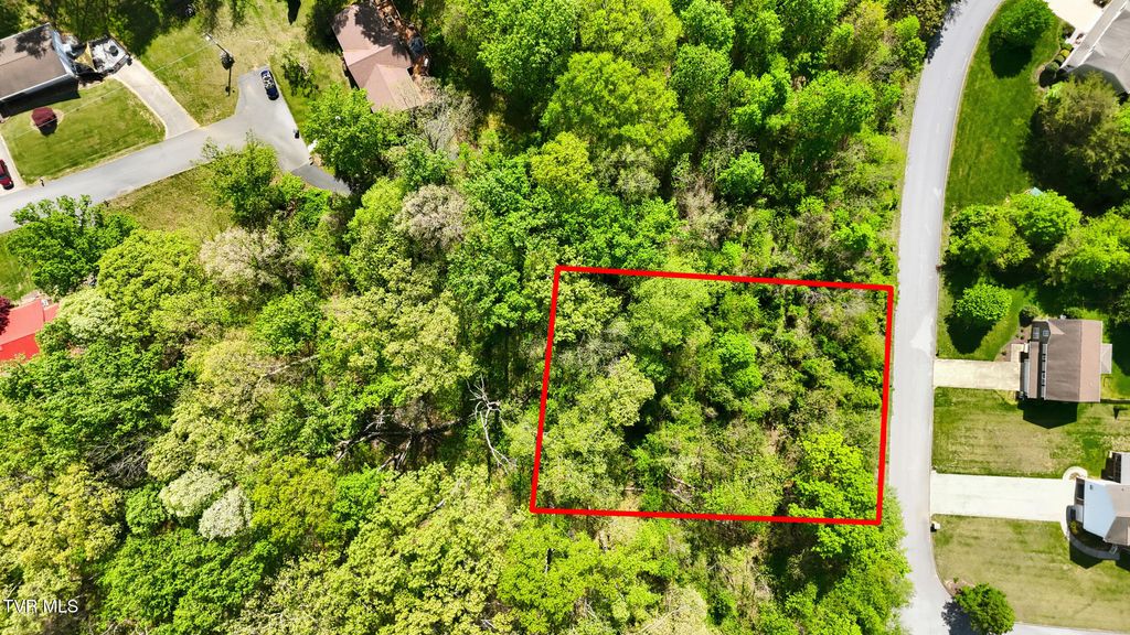 Photo of 292 Holland View Drive, Jonesborough, TN 37659 (MLS # 9994061)