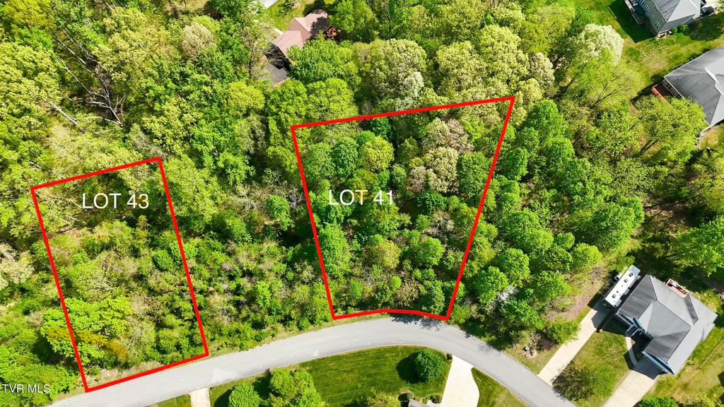 Photo of 292 Holland View Drive, Jonesborough, TN 37659 (MLS # 9994061)