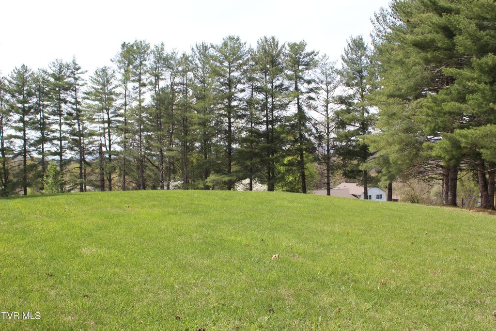 Photo of 175 Fincastle Heights Road, Jonesville, VA 24263 (MLS # 9991179)