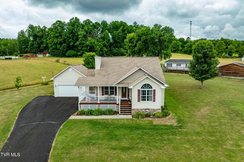 Photo of 313 Lily Lane, Mountain City, TN 37683 (MLS # 9997235)