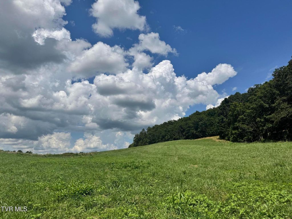 Photo of 0 Old Knoxville Hwy Highway, Greeneville, TN 37743 (MLS # 9983930)